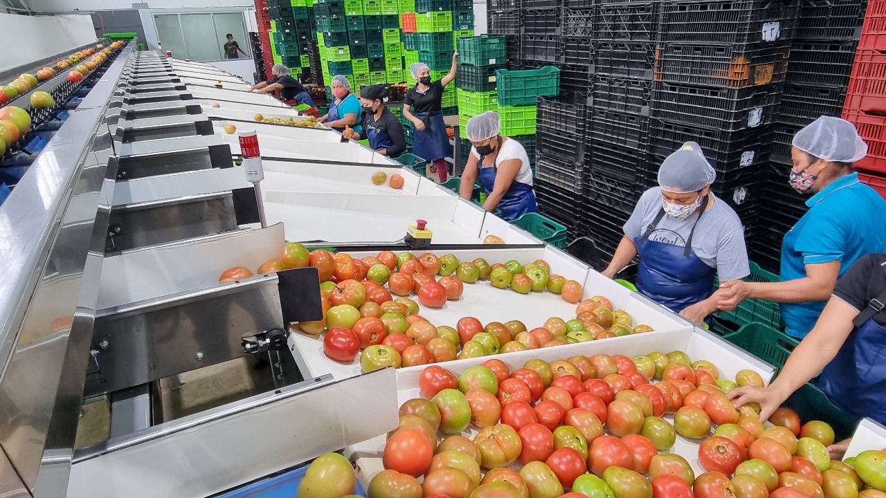 Equipo de Tierra Tica en el campo